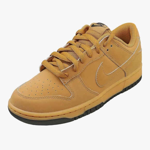 Nike Men's Dunk Low Retro Se Sneaker